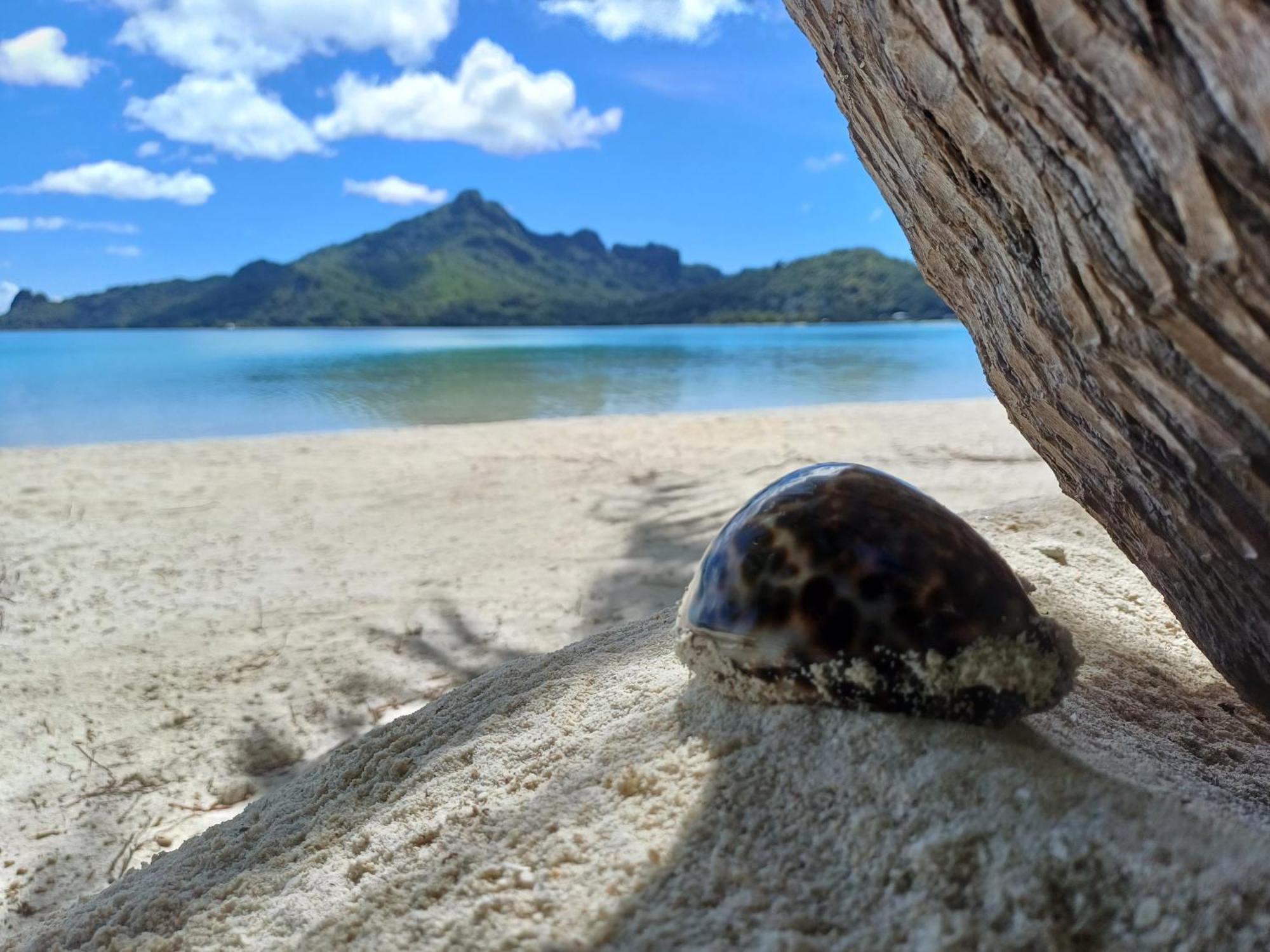 Poemanahere Island Camping A Maupiti Te-Fare-Arii Extérieur photo