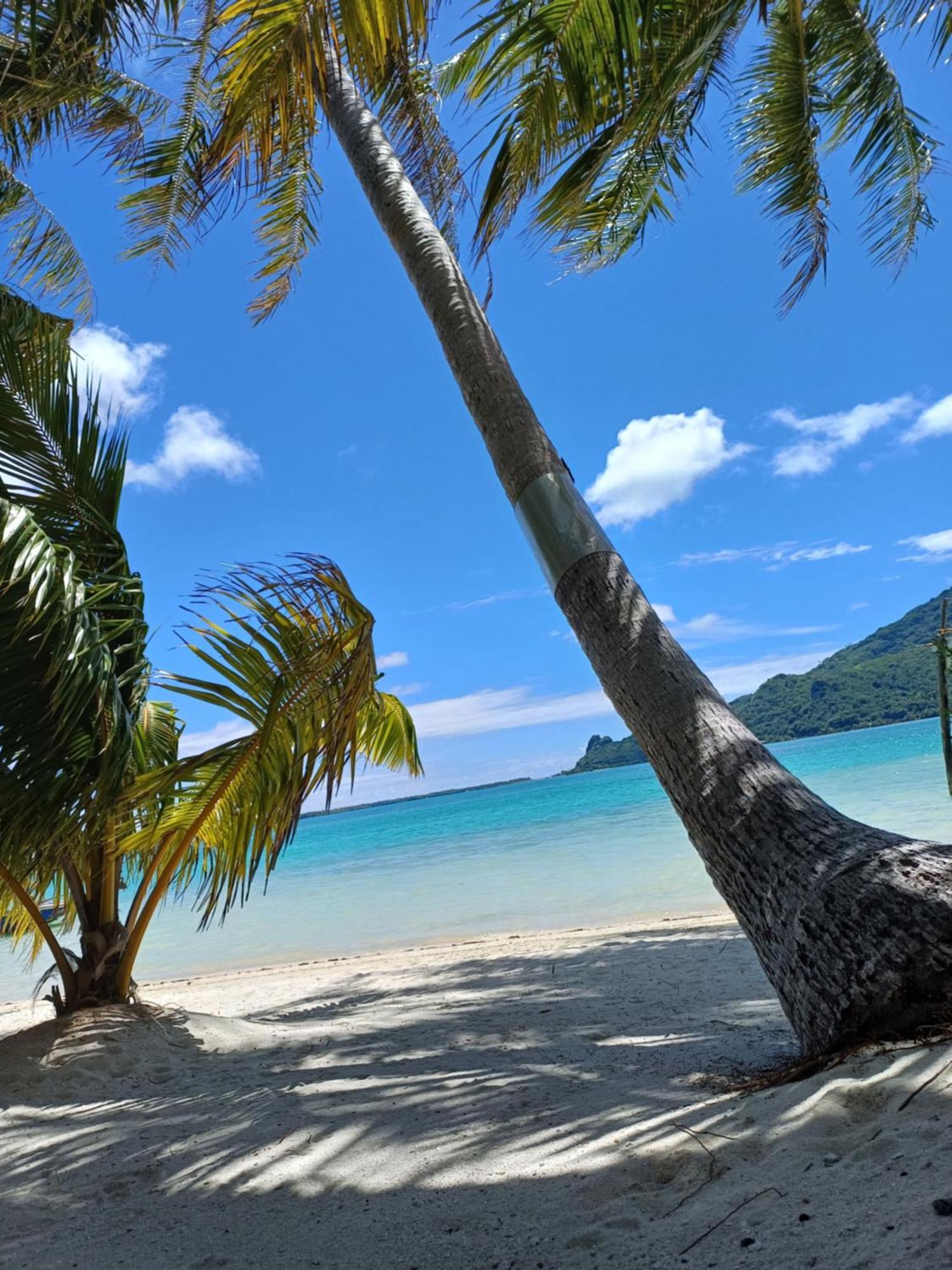 Poemanahere Island Camping A Maupiti Te-Fare-Arii Extérieur photo