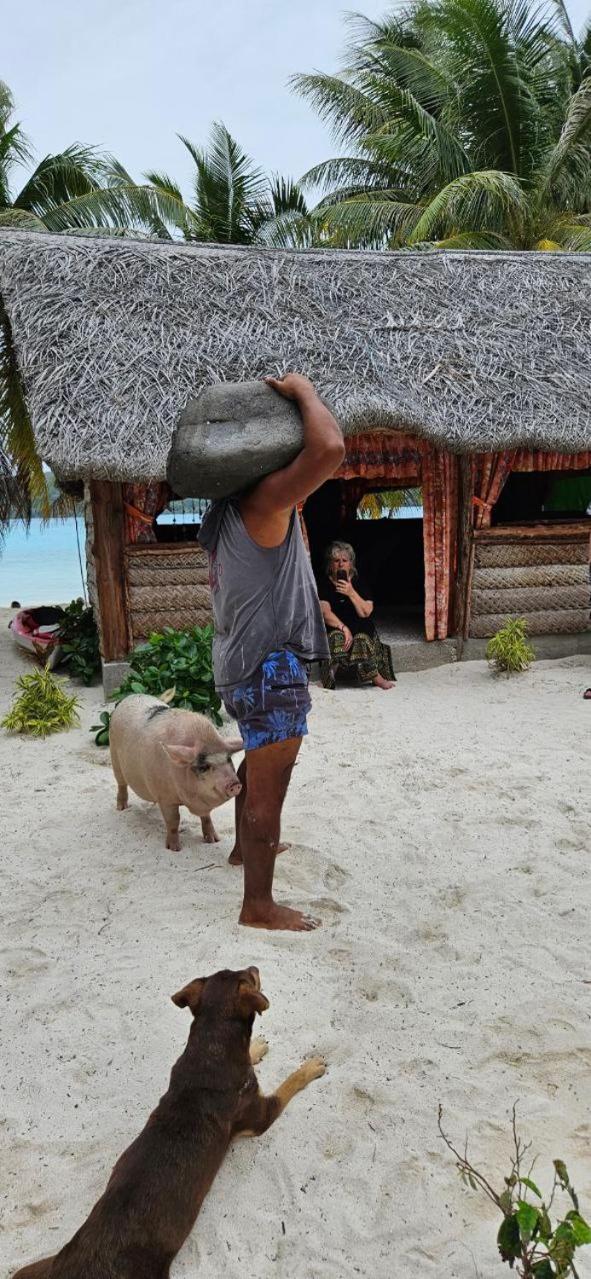 Poemanahere Island Camping A Maupiti Te-Fare-Arii Extérieur photo