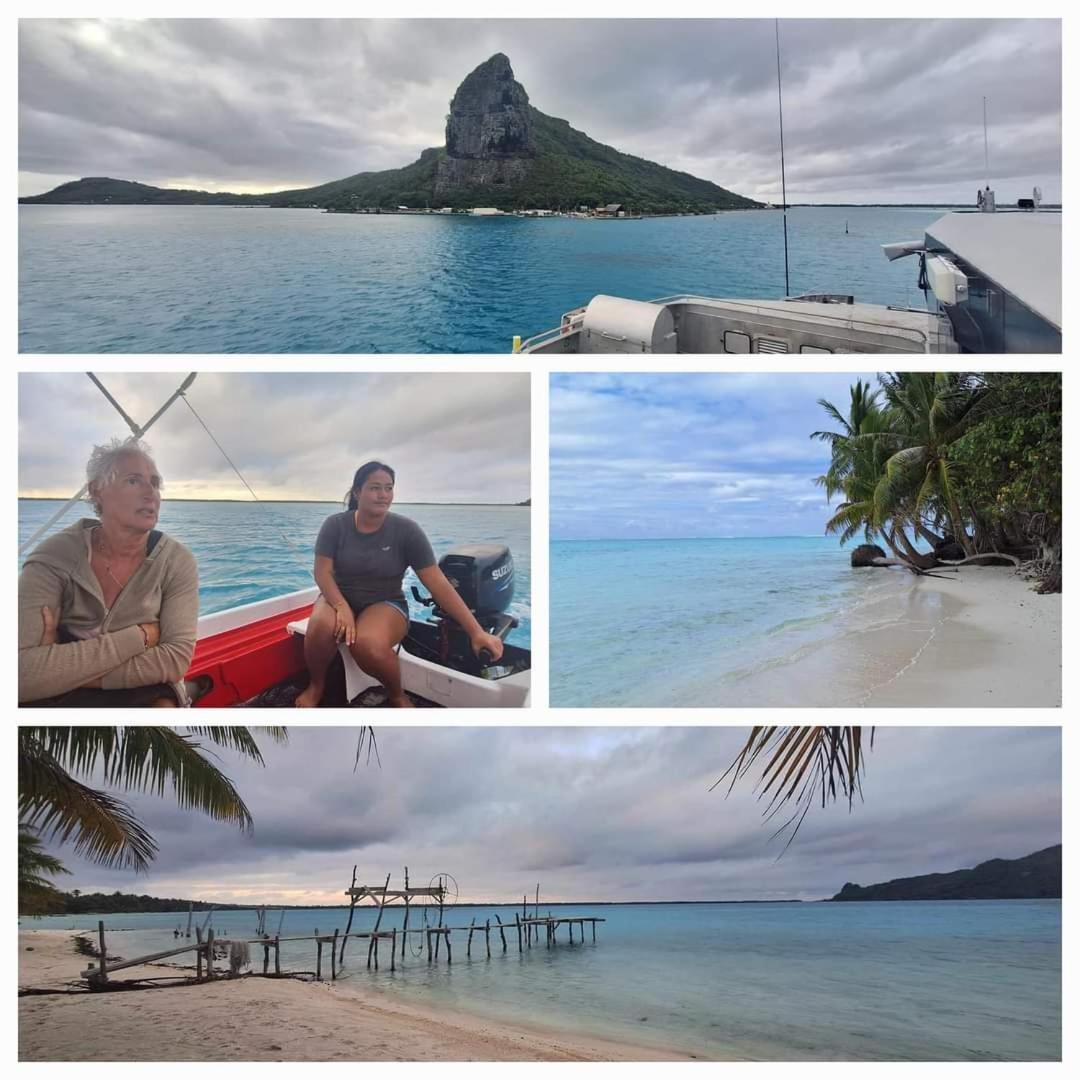 Poemanahere Island Camping A Maupiti Te-Fare-Arii Extérieur photo