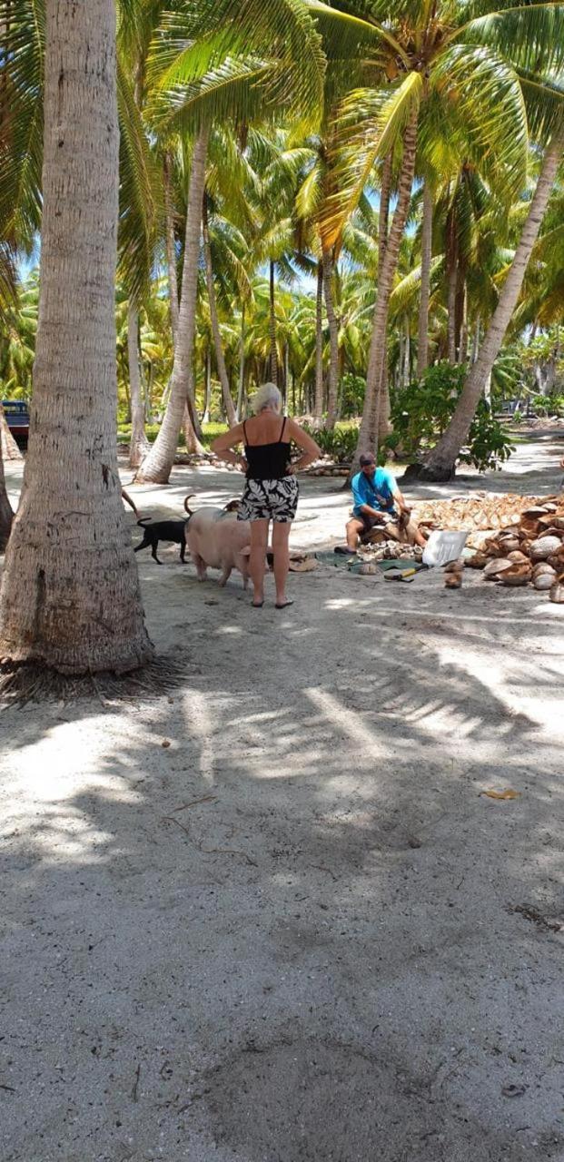 Poemanahere Island Camping A Maupiti Te-Fare-Arii Extérieur photo
